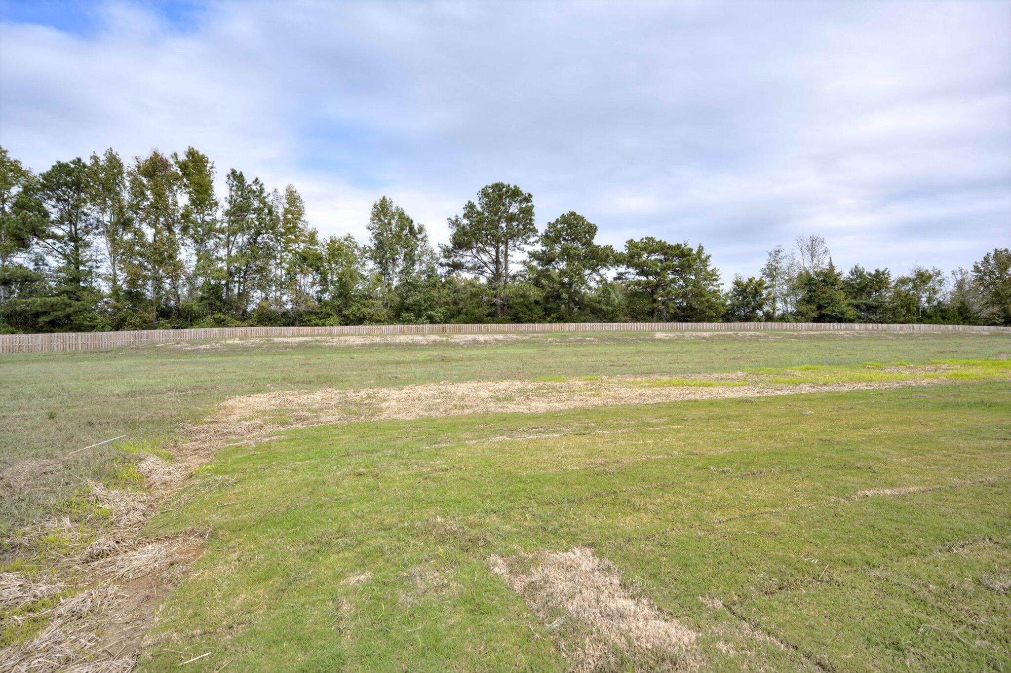 1171 Meandering Trail
