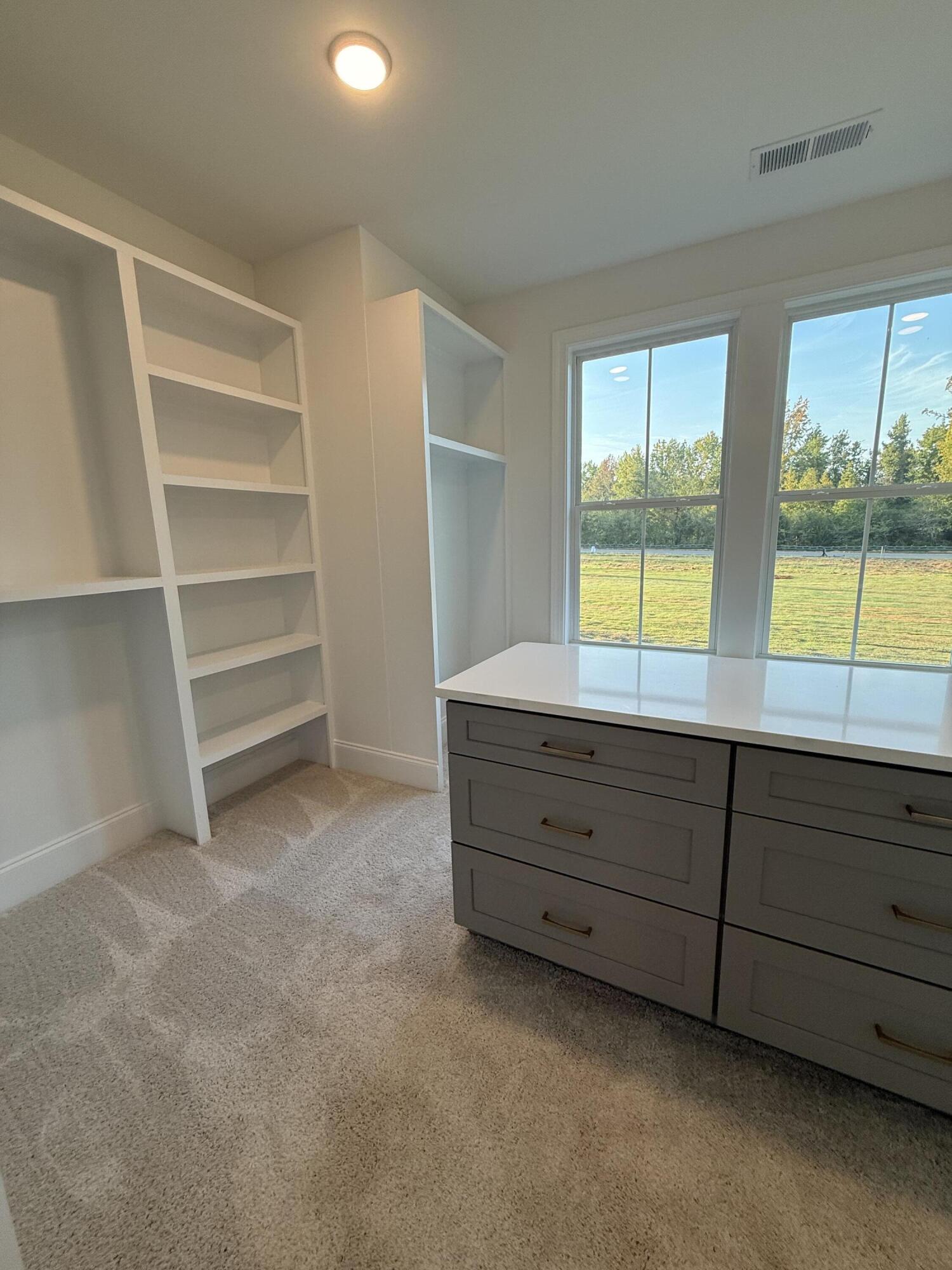 1171 Meandering Trail