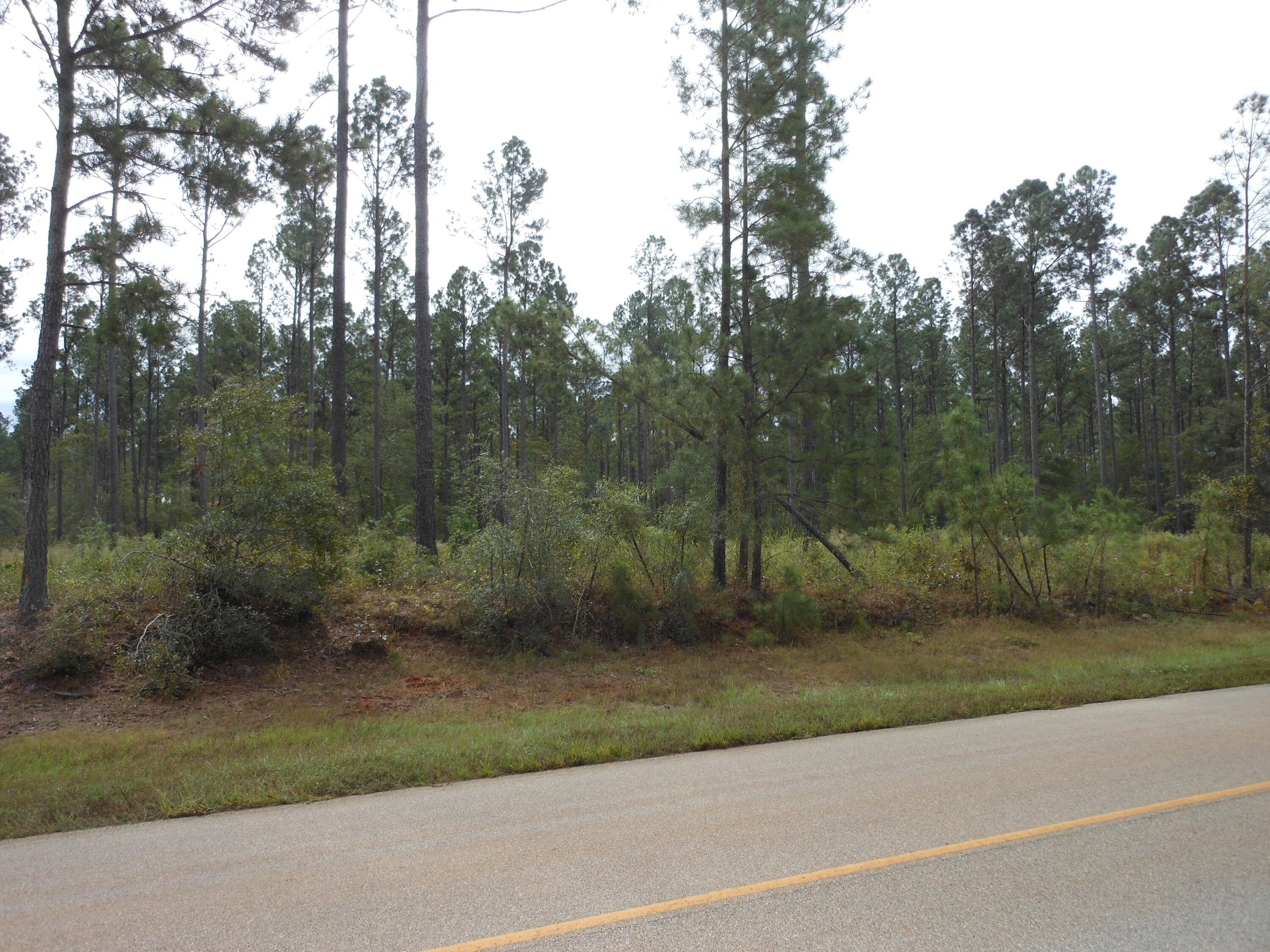 0 Spread Oak Road