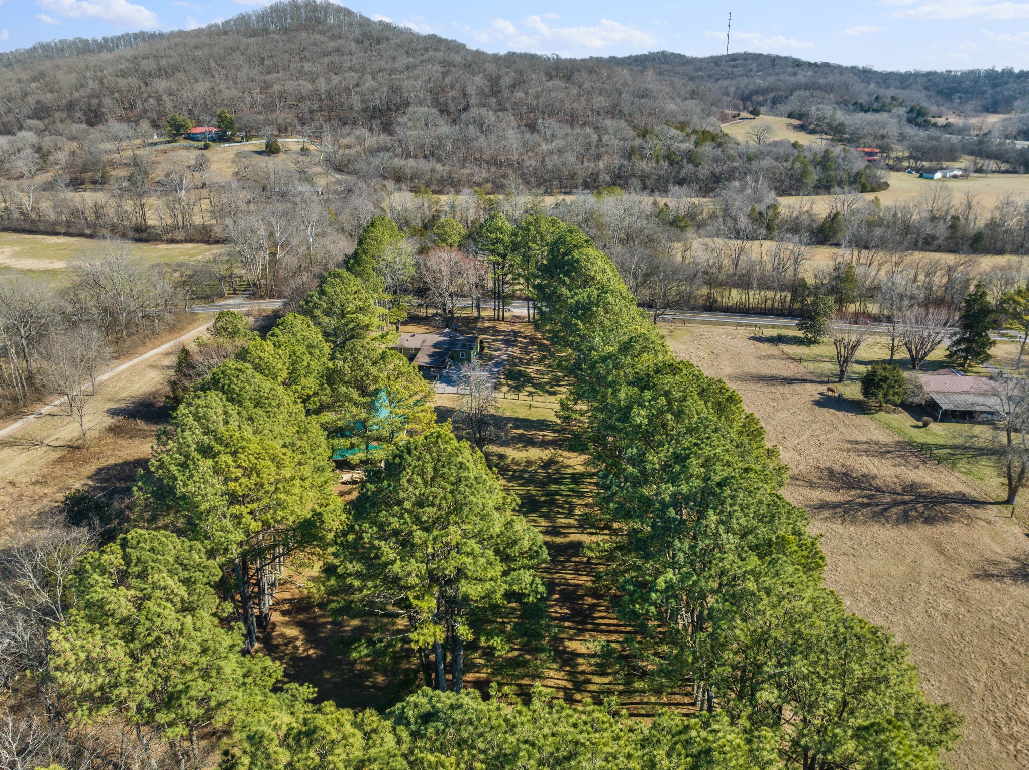 4431 Peytonsville Trinity Rd