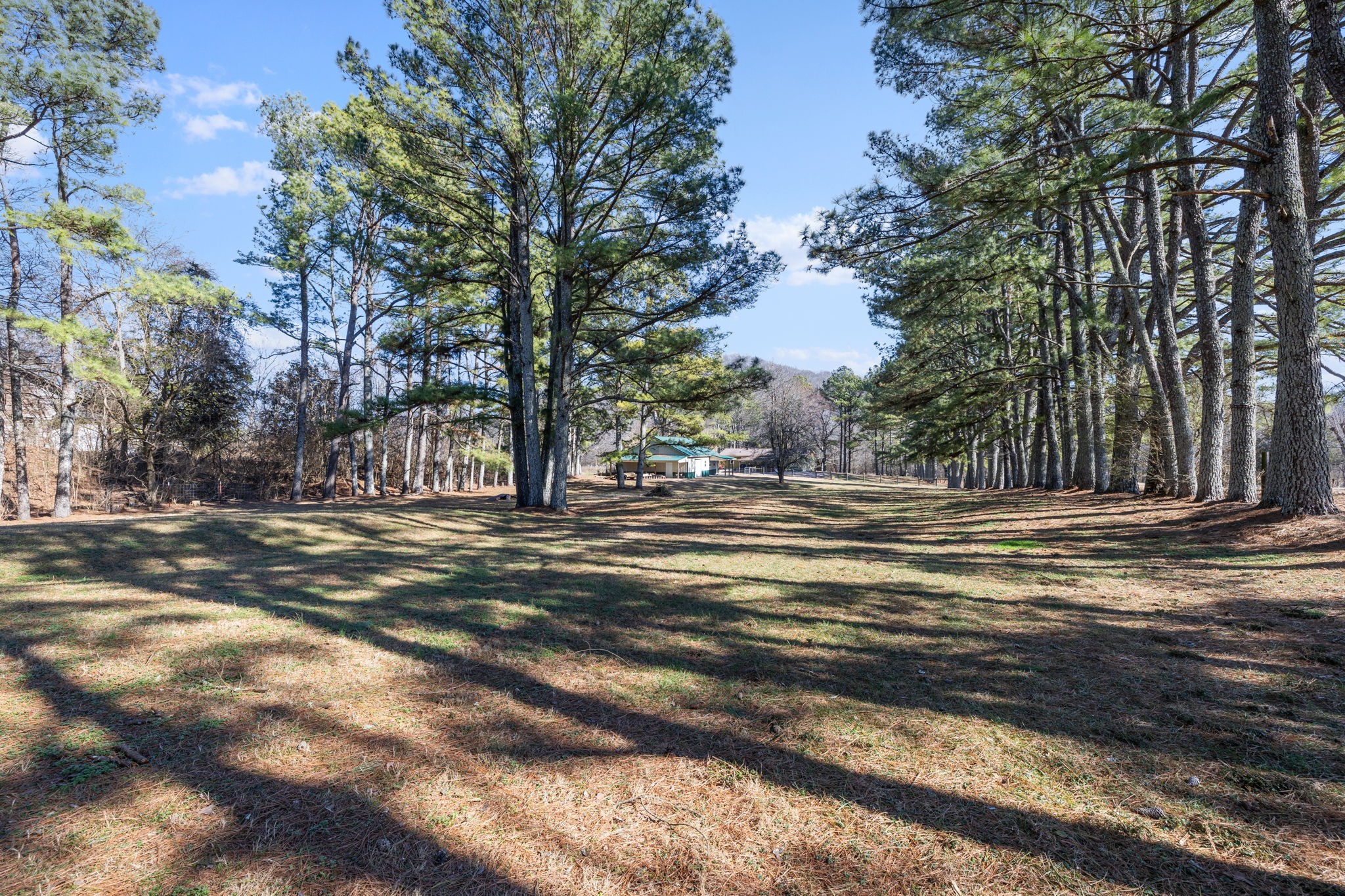 4431 Peytonsville Trinity Rd