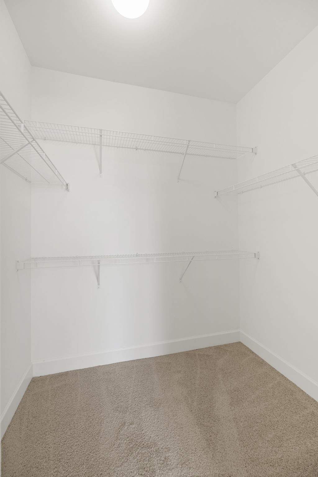 108 Burkitt Commons Ave