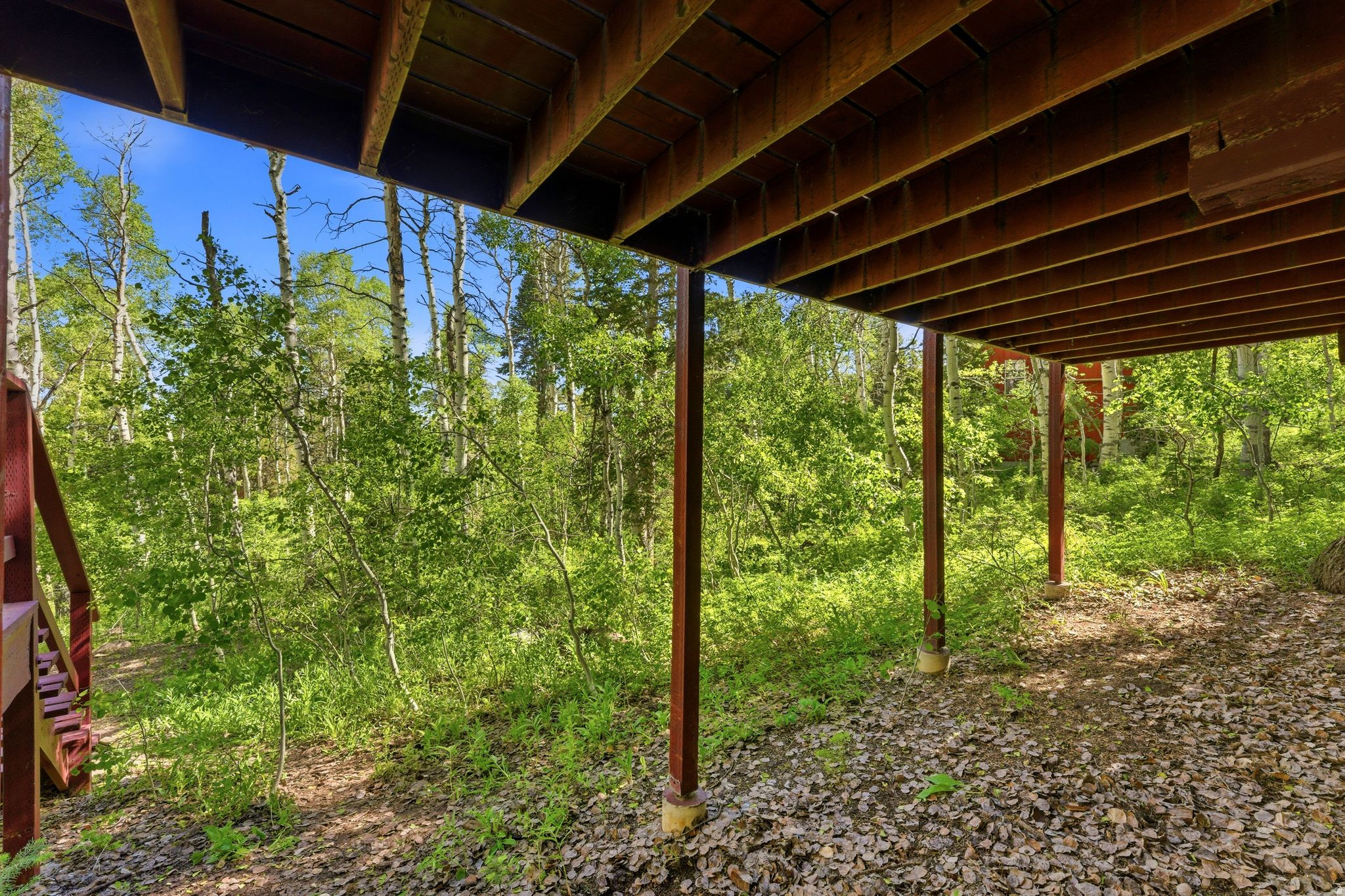 11106 GREEN BRIAR RD