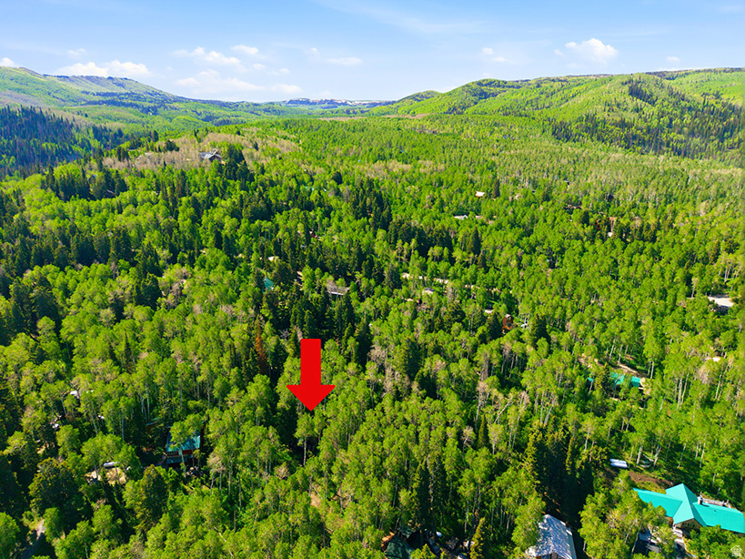11106 GREEN BRIAR RD