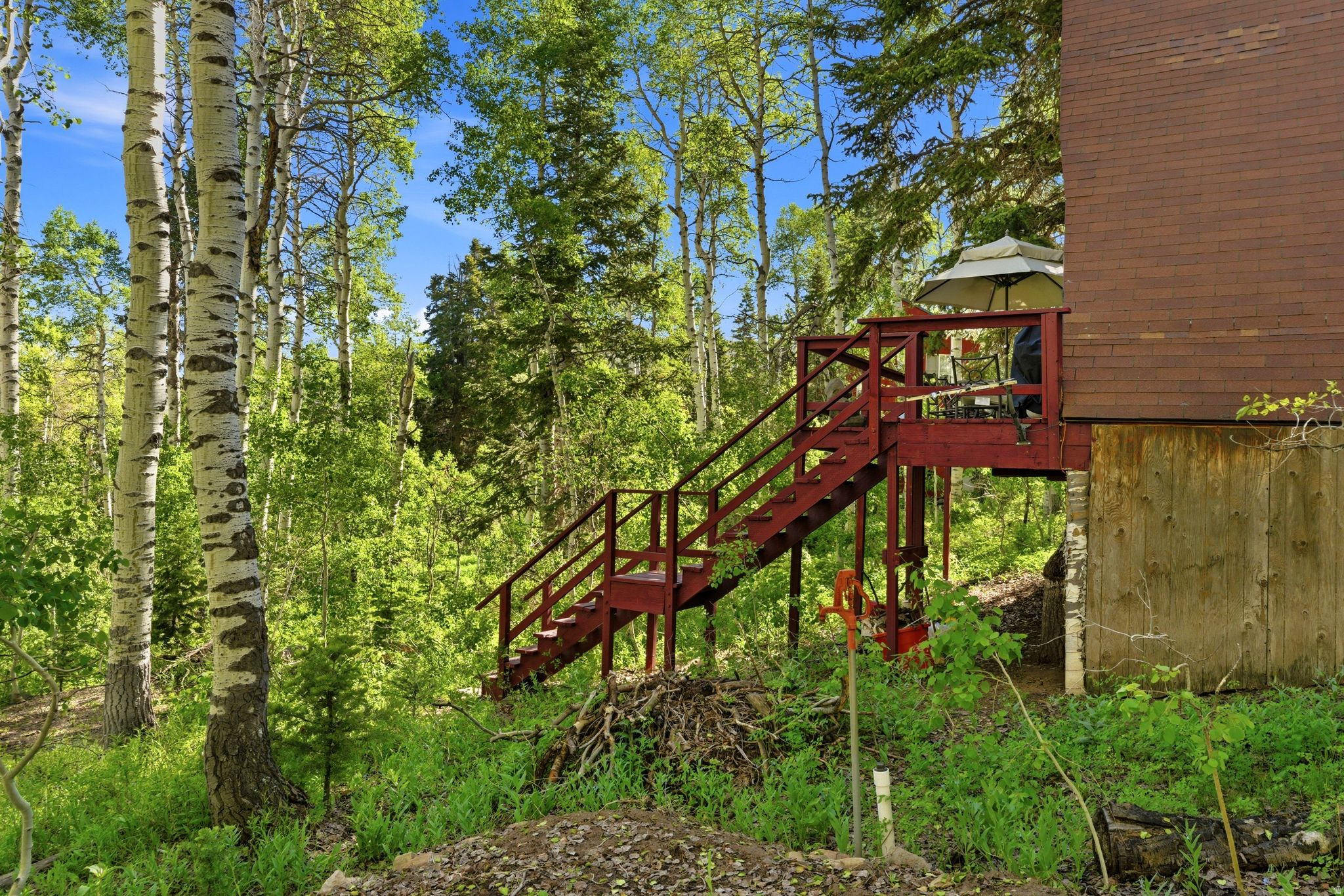 11106 GREEN BRIAR RD