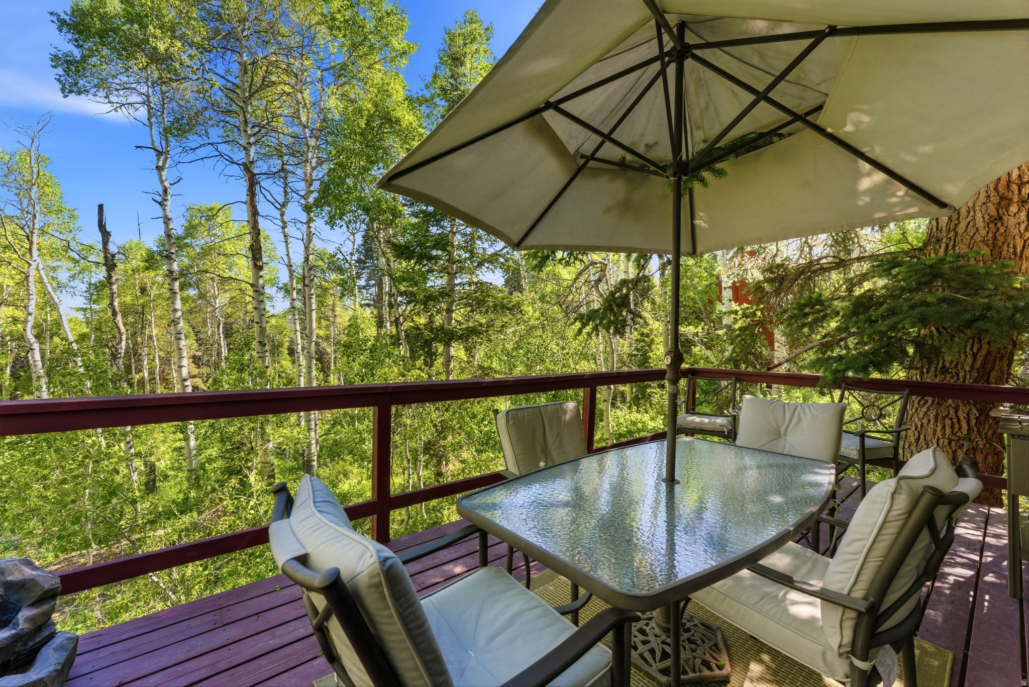 11106 GREEN BRIAR RD