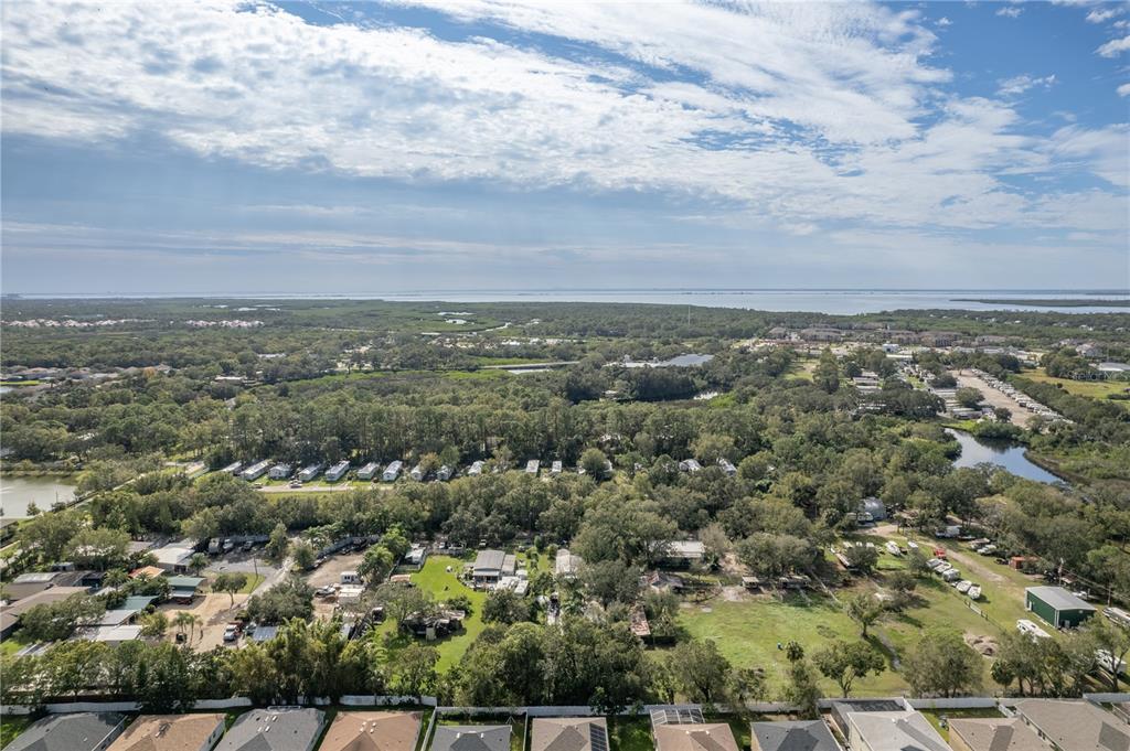 Aerial view of a tree-lined Tampa neighborhood, waterways, and a broad body of water on the horizon.
