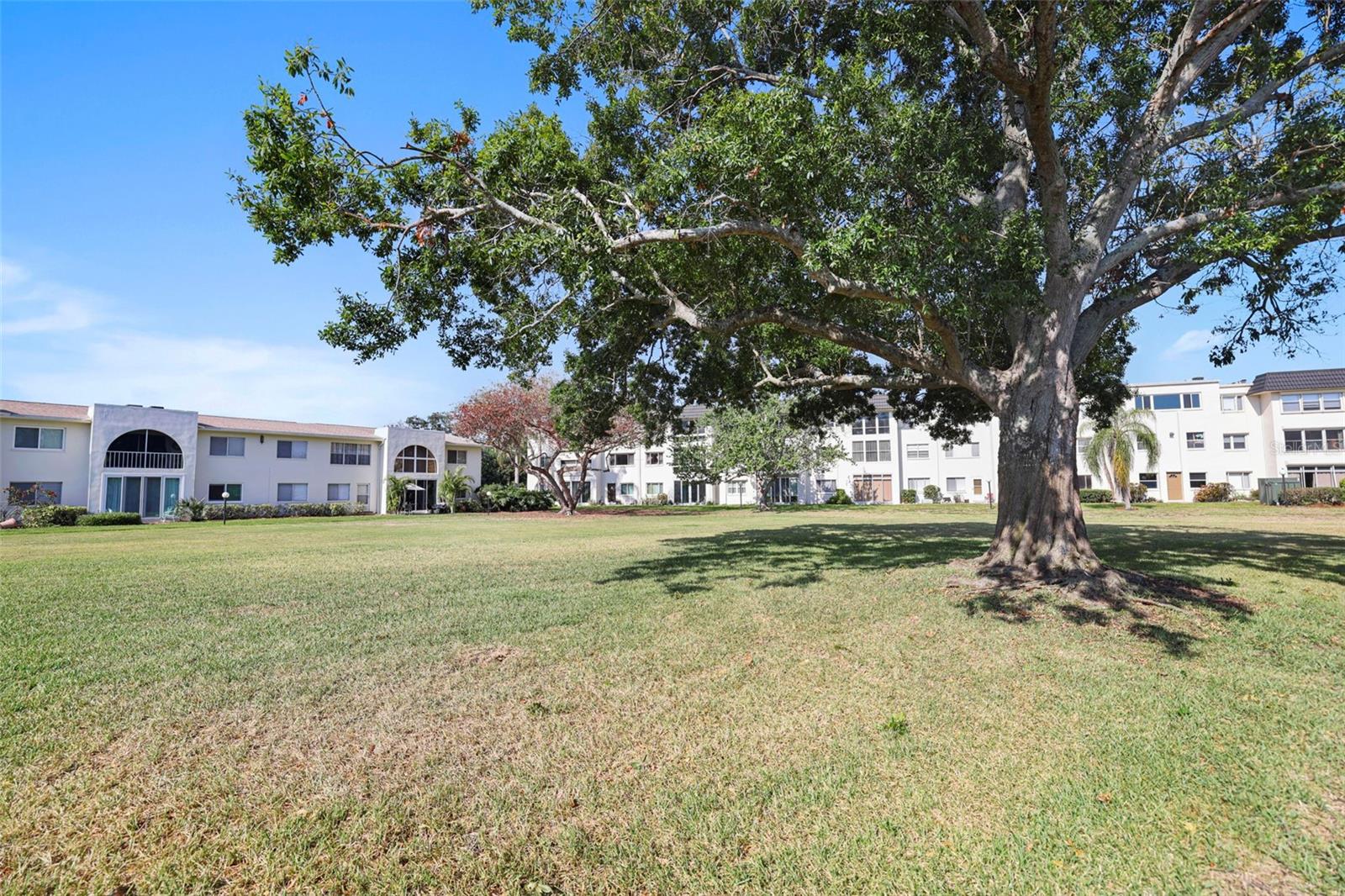 4540 OVERLOOK DR NE #245