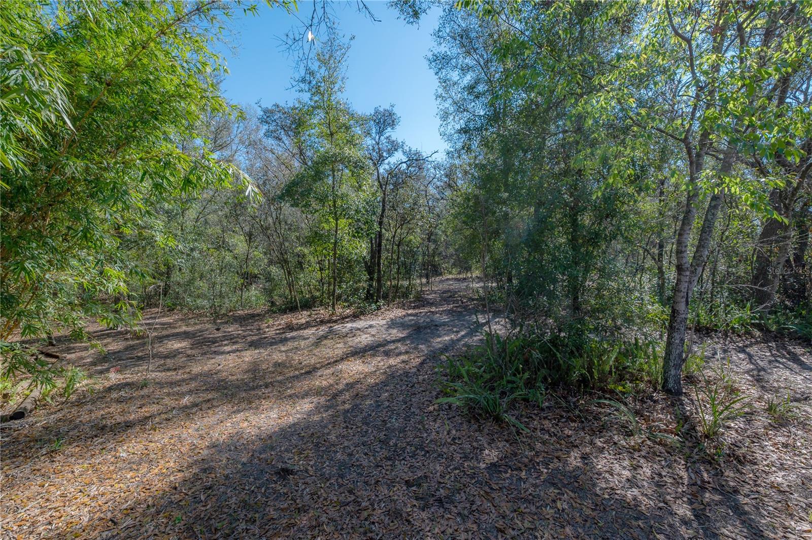16740 MONTEVERDE DR