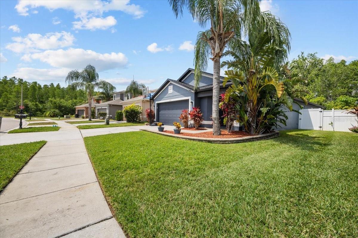 18516 SNOWDONIA DR