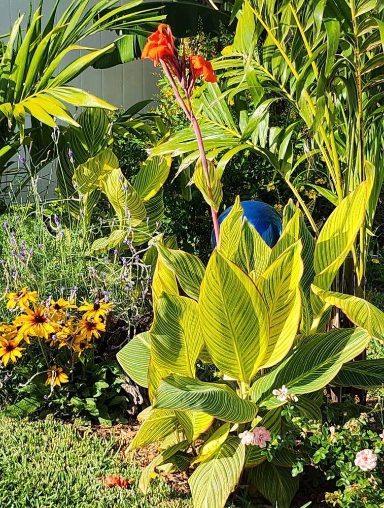 4880 SHELL STREAM BLVD