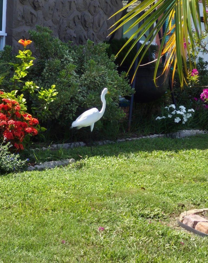 4880 SHELL STREAM BLVD