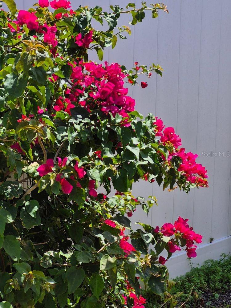 4880 SHELL STREAM BLVD