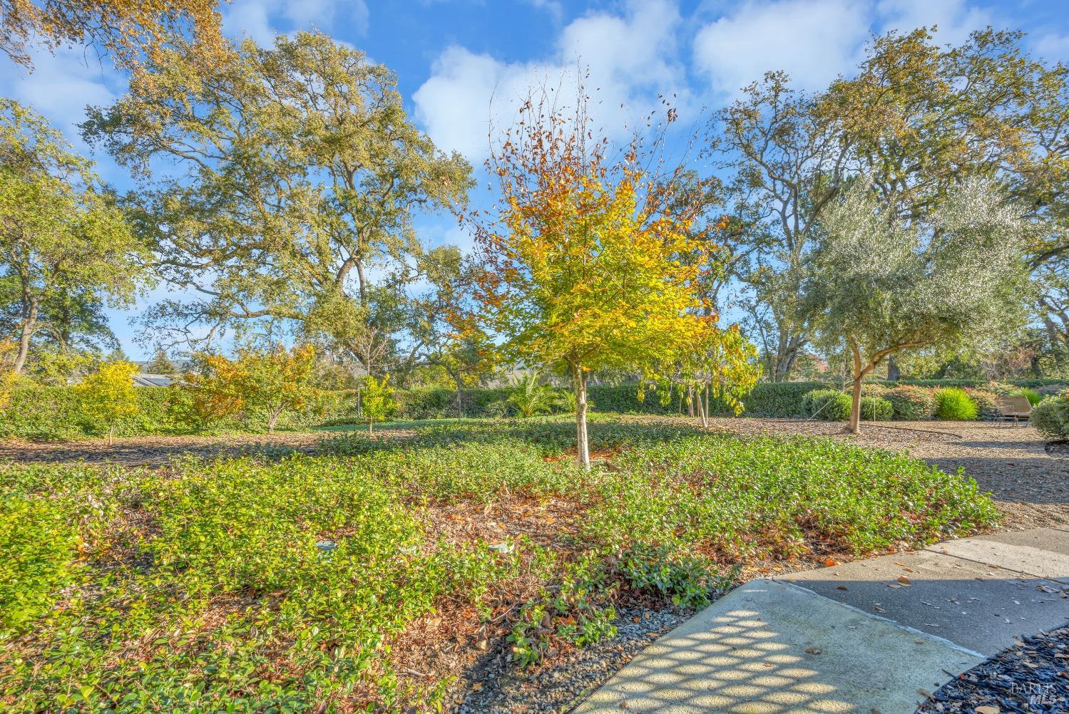 6600 Yount Street Unit: 36