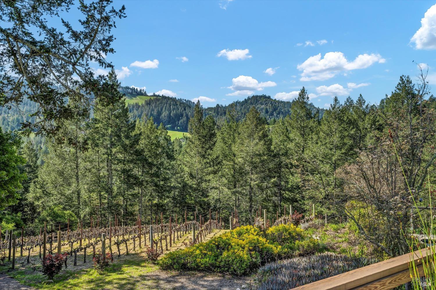 511 Kortum Canyon Rd