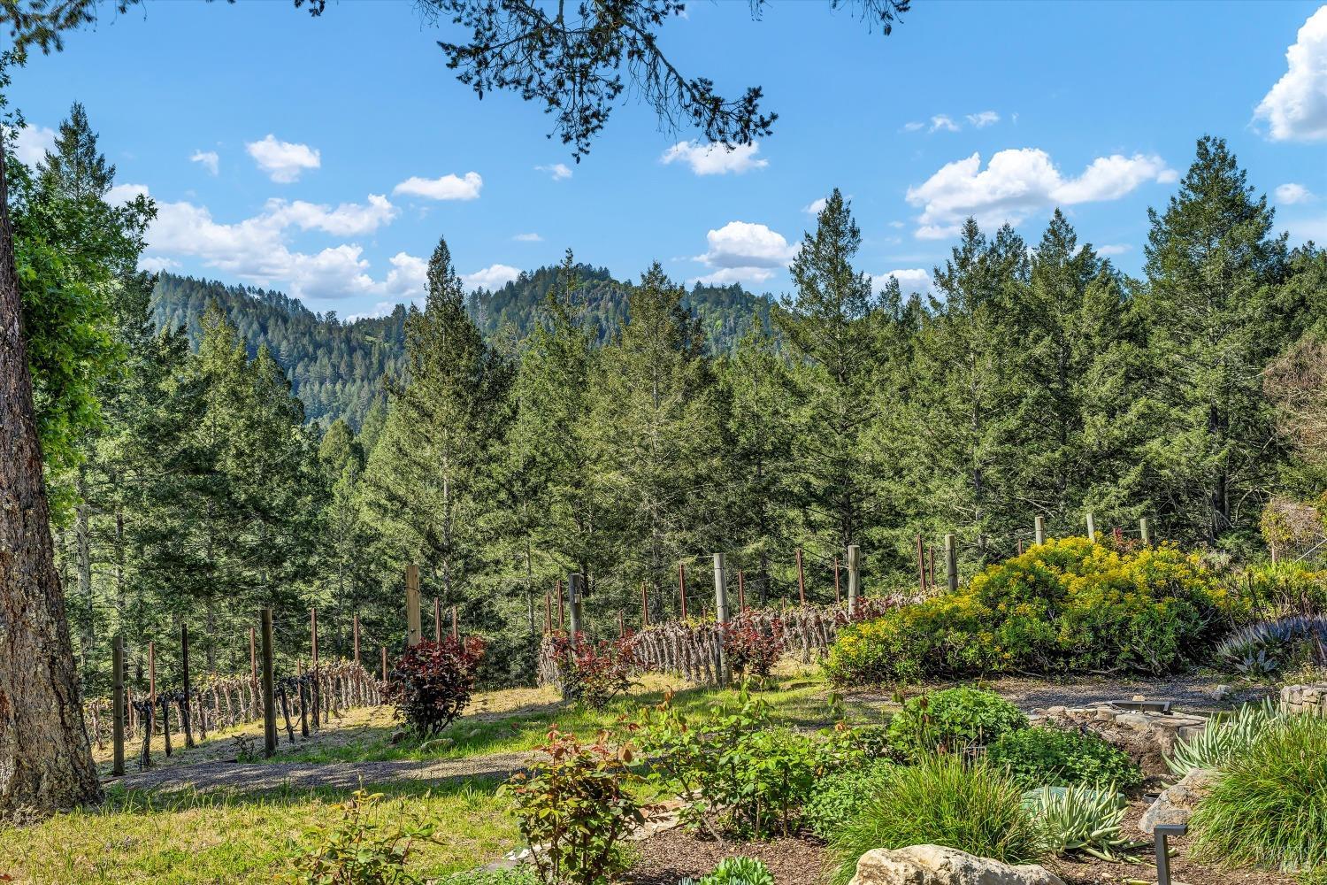 511 Kortum Canyon Rd
