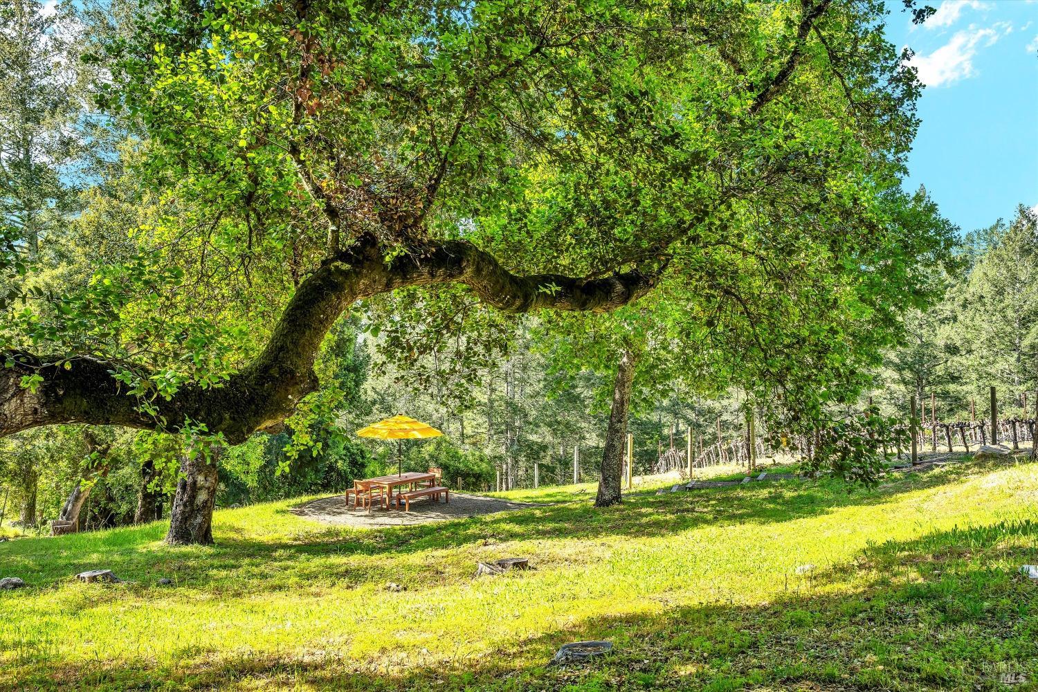 511 Kortum Canyon Rd