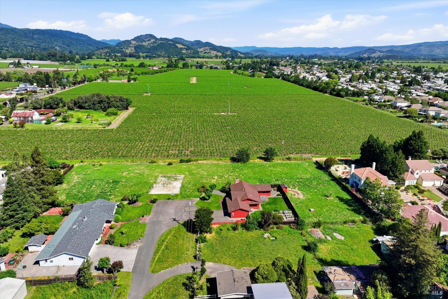 1124 Wine Country Avenue