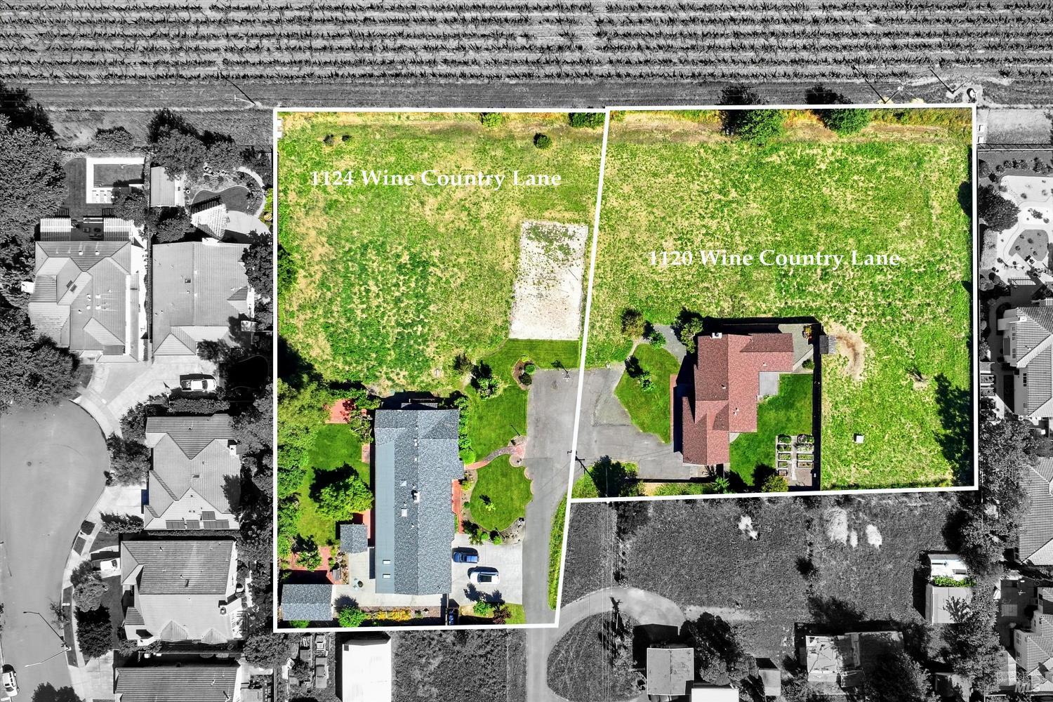 1124 Wine Country Avenue