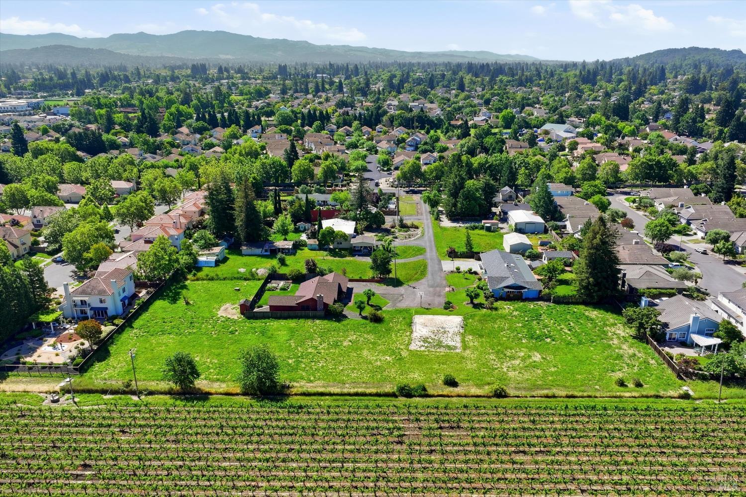 1124 Wine Country Avenue