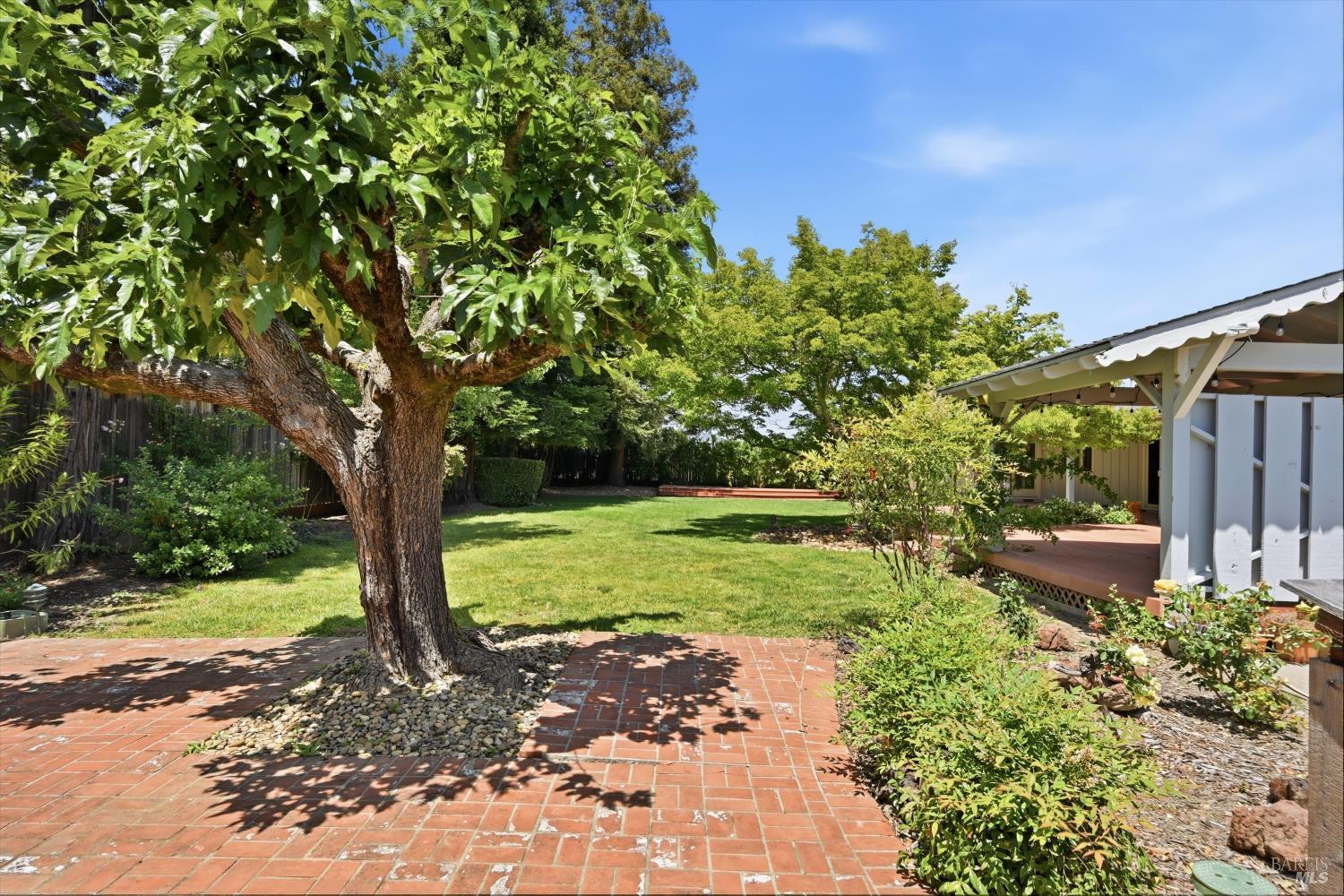 1124 Wine Country Avenue