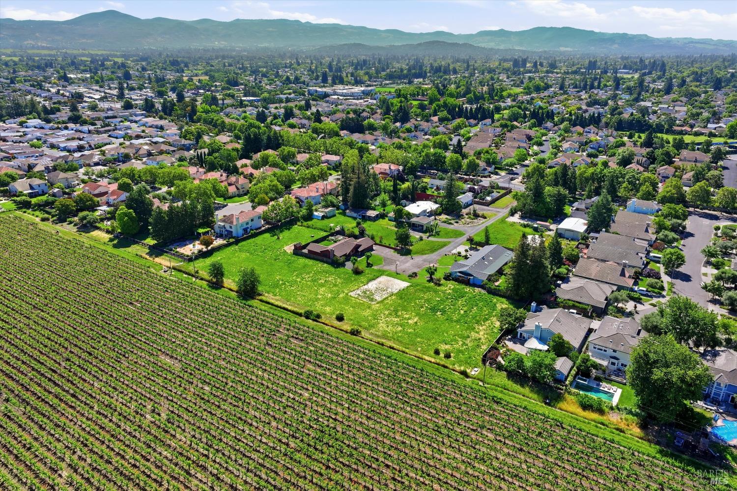 1120 Wine Country Avenue