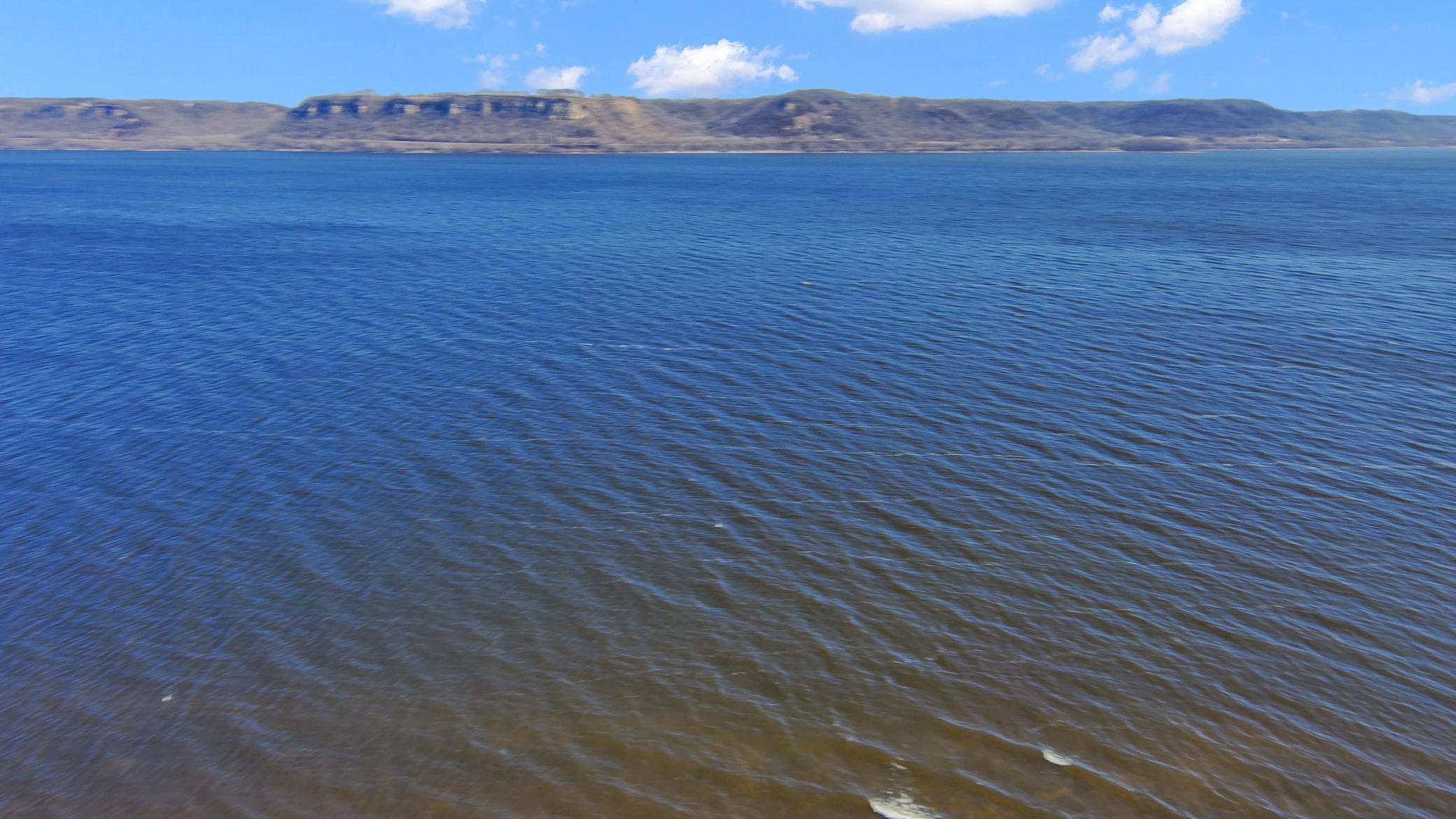 31678 Chestnut Court