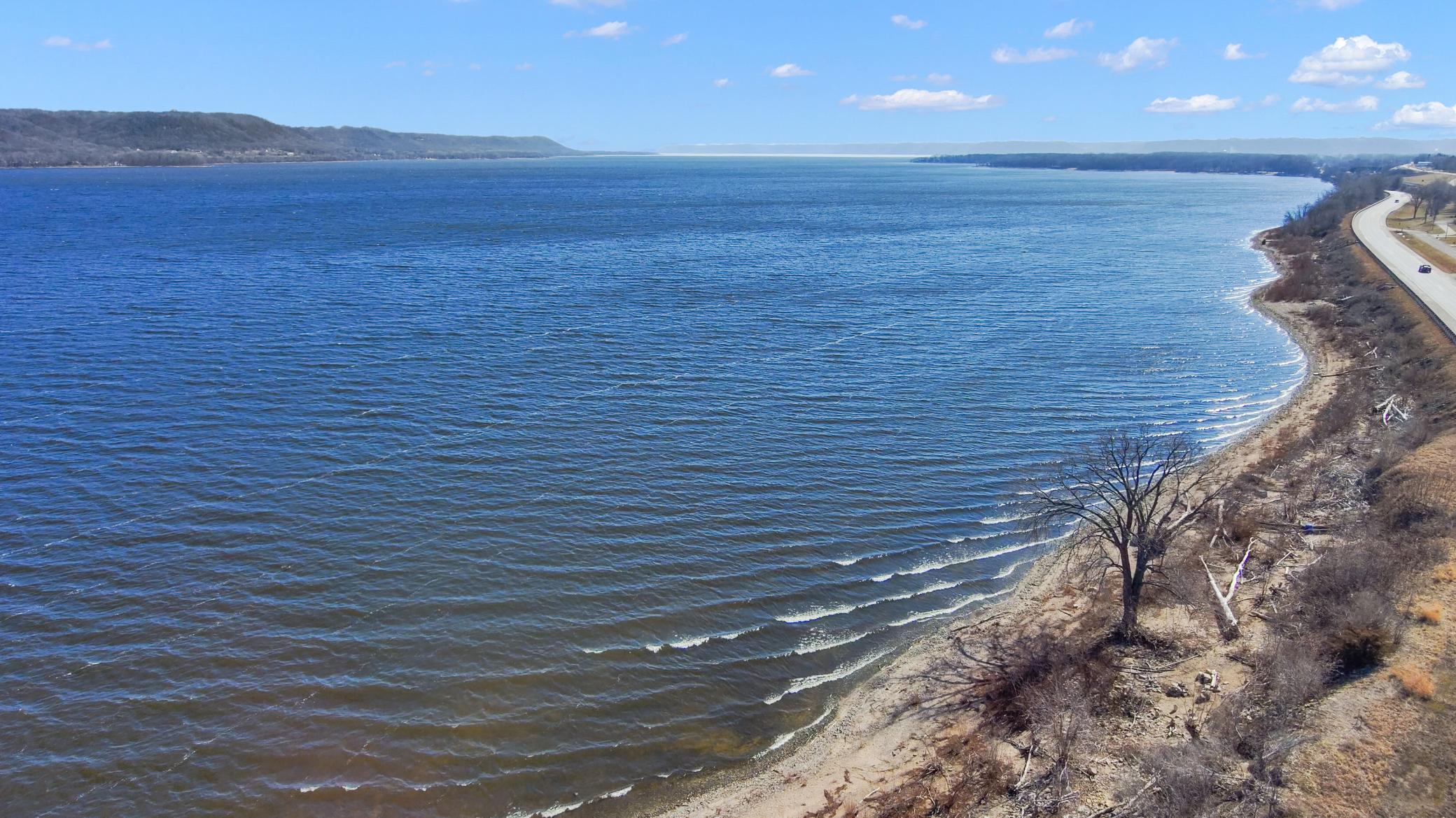 31678 Chestnut Court