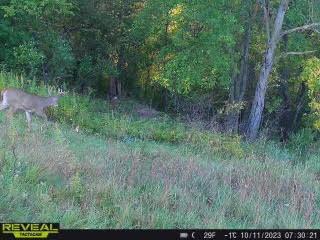 TBD 292nd Avenue