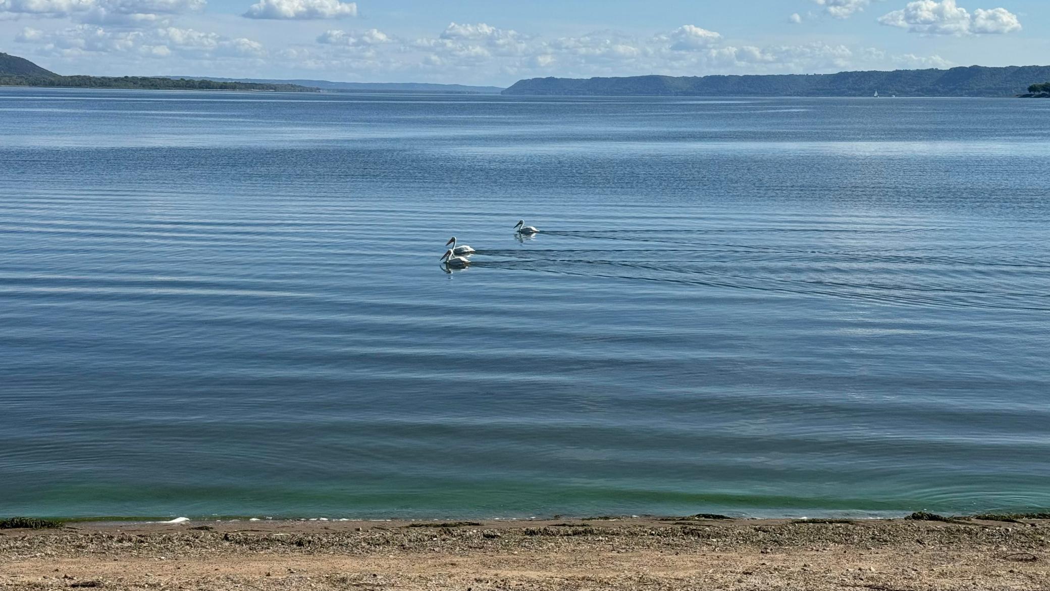 700 Central Point Road