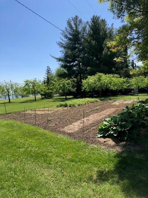 36206 Highway 61 Boulevard