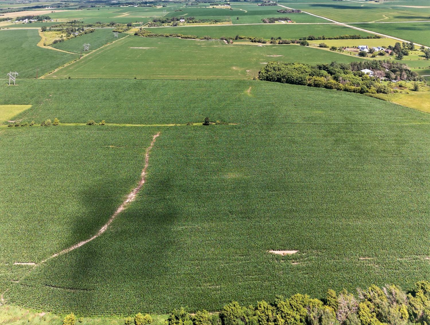 TBD County Road 149