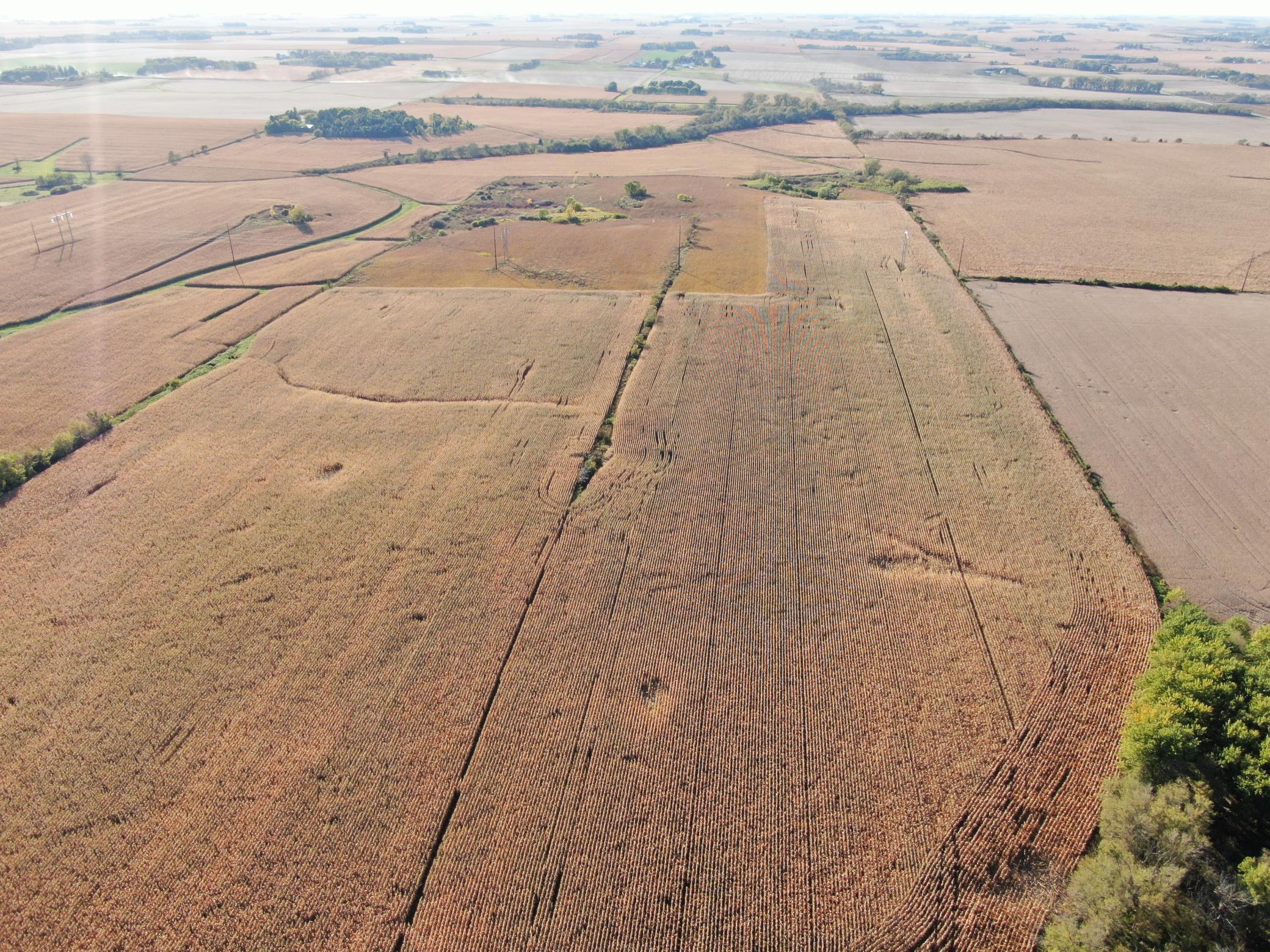 TBD County Road 149