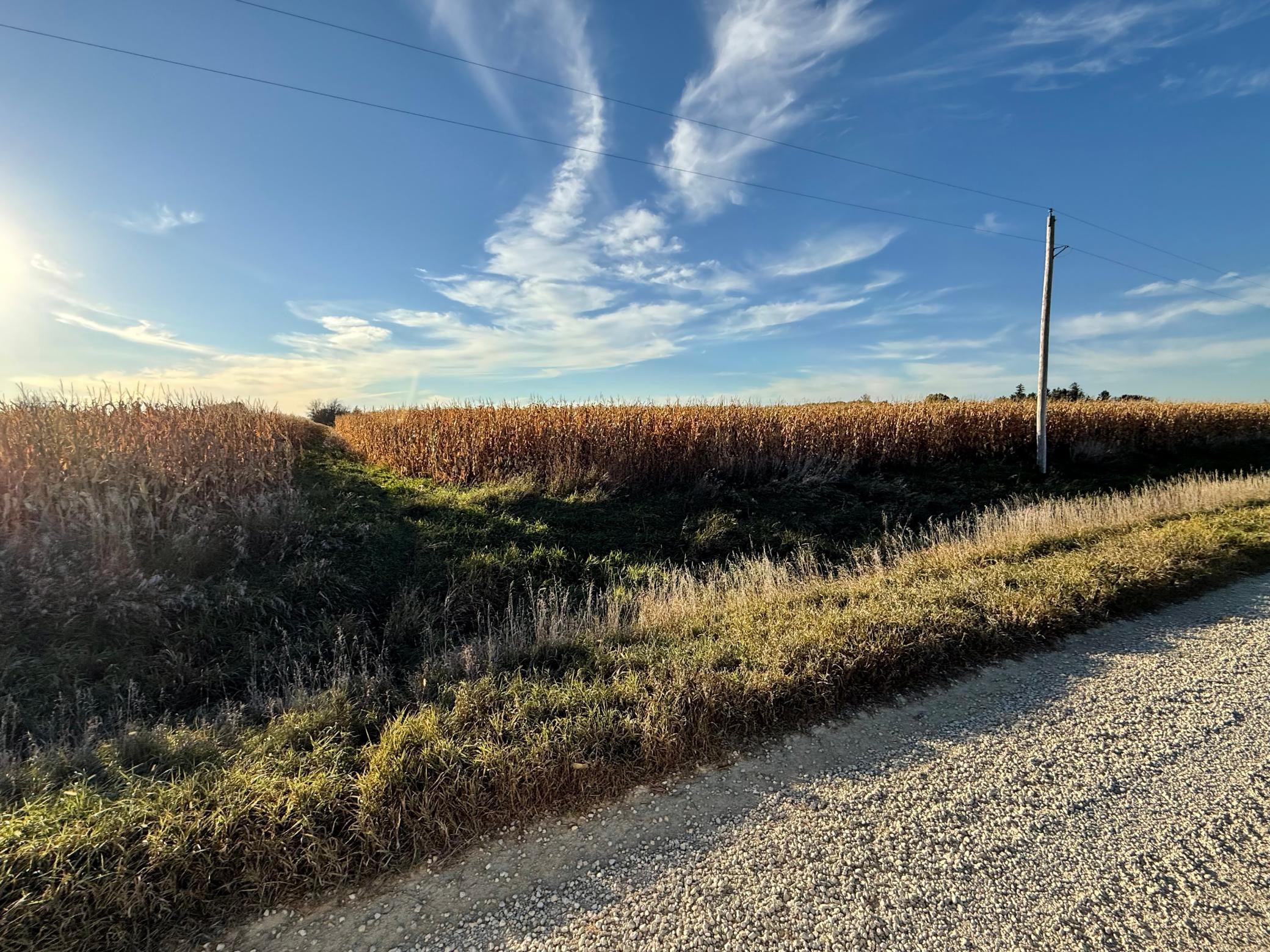TBD County Road 149