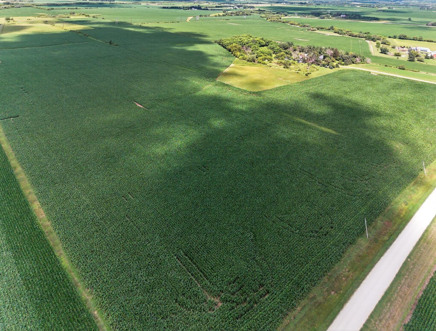 TBD County Road 149