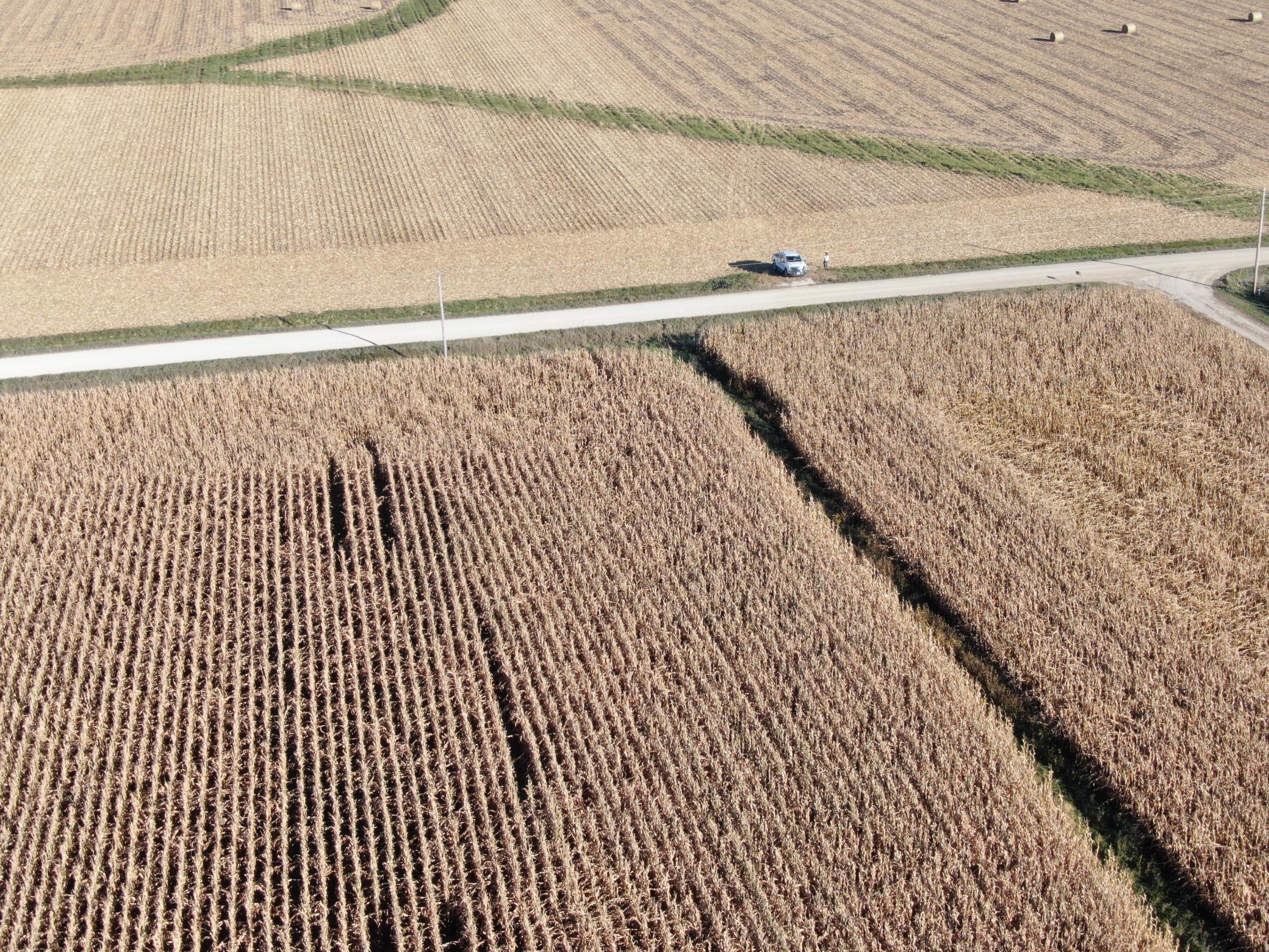 TBD County Road 149