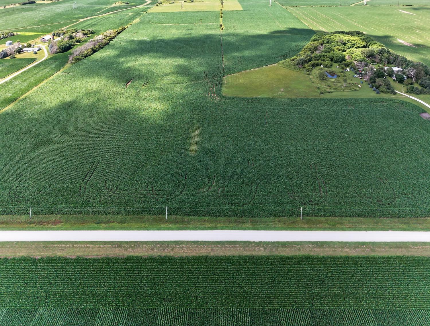 TBD County Road 149