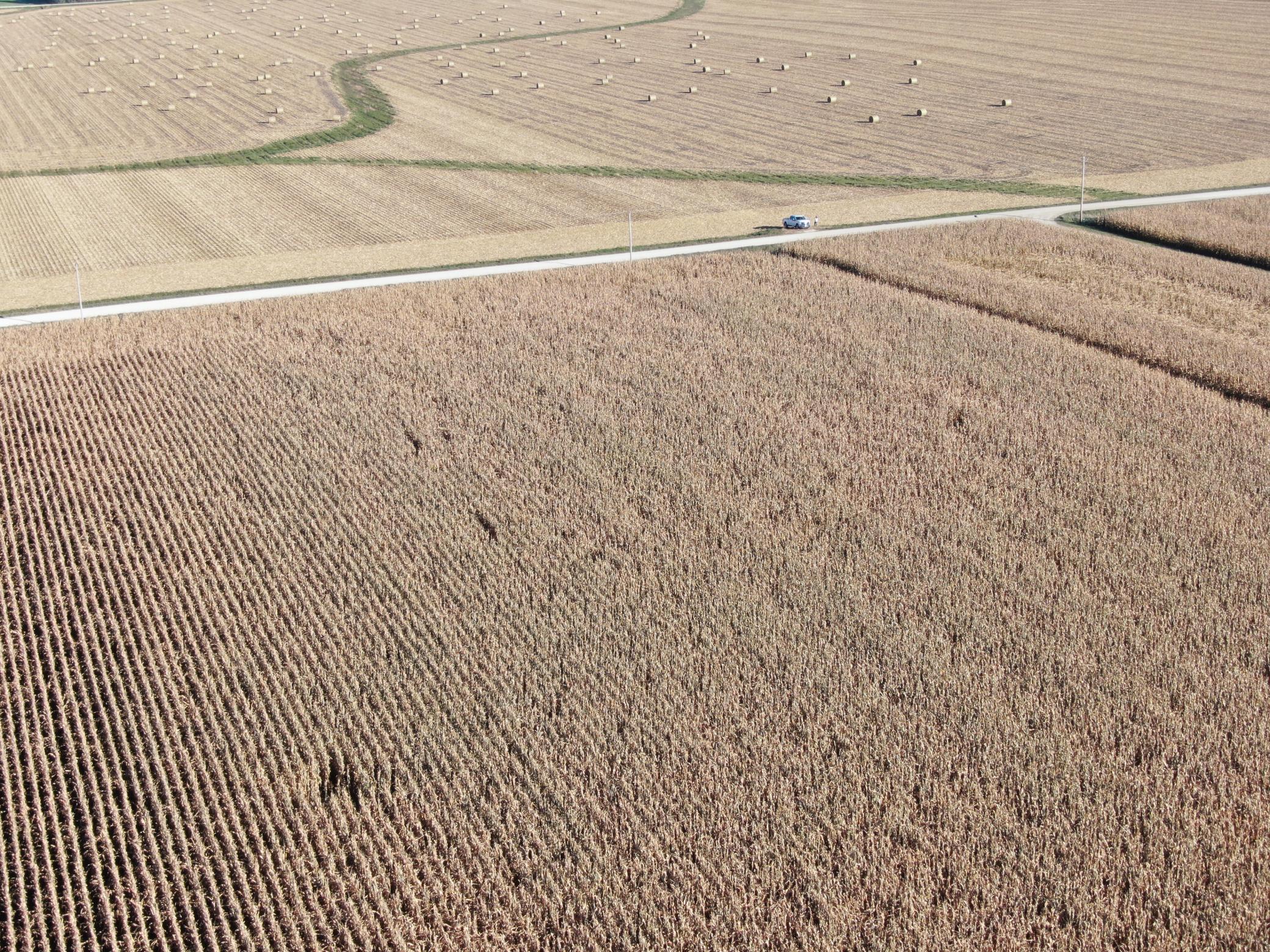TBD County Road 149