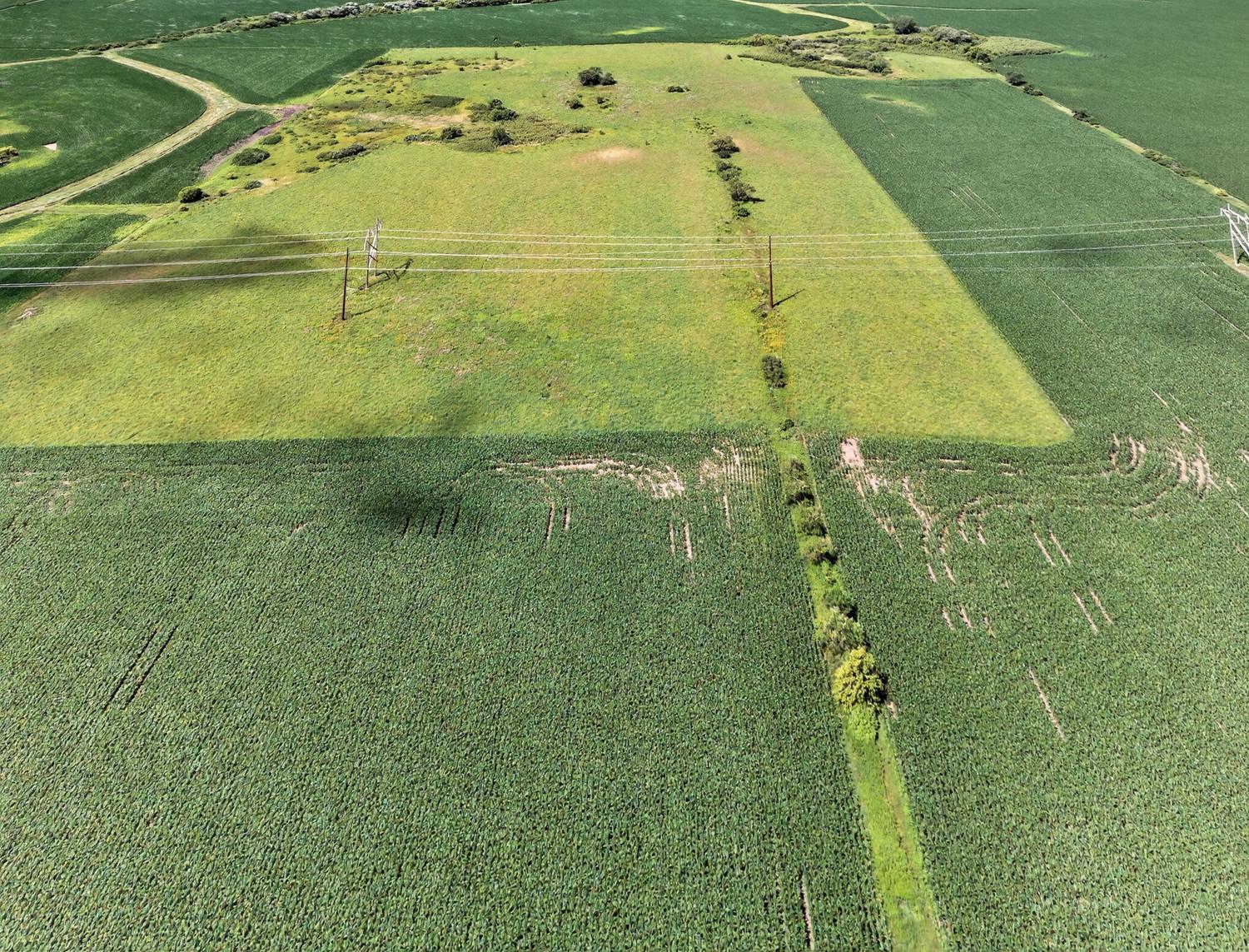 TBD County Road 149