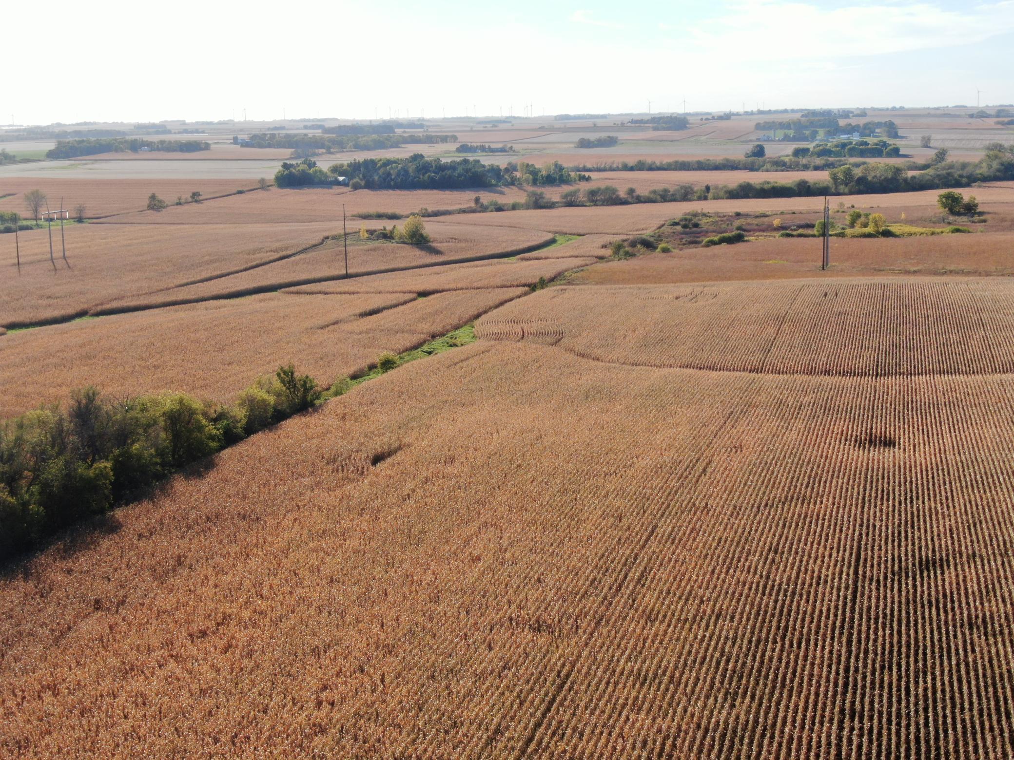 TBD County Road 149