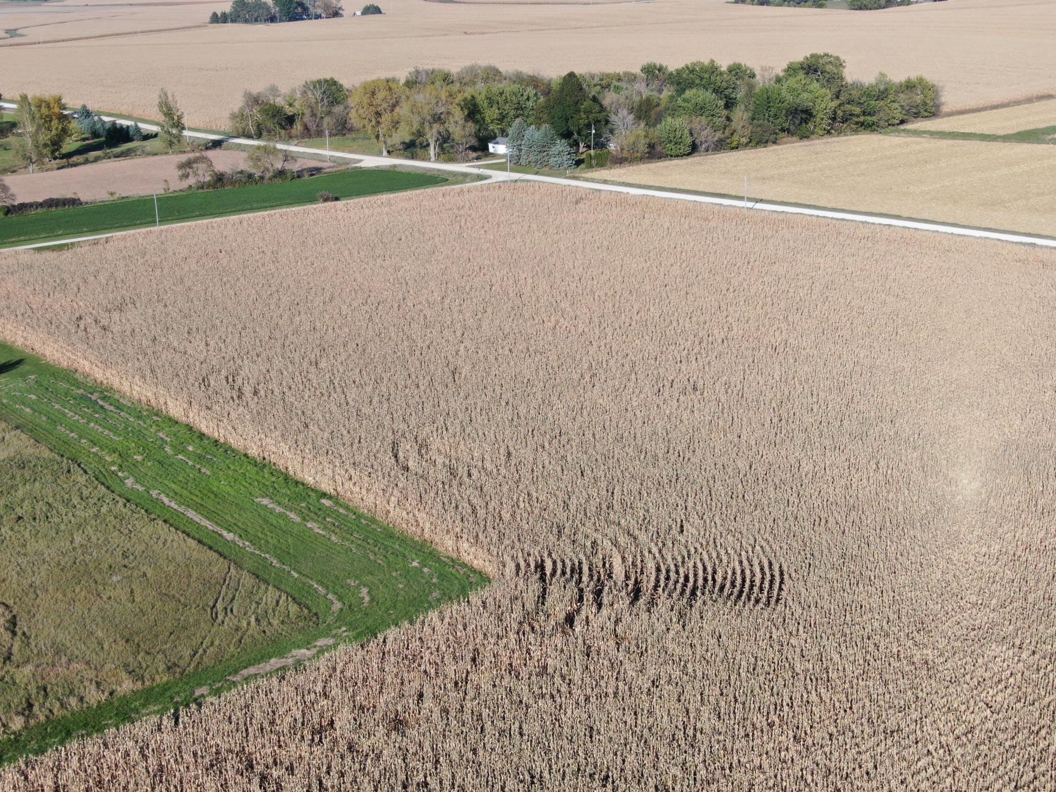 TBD County Road 149