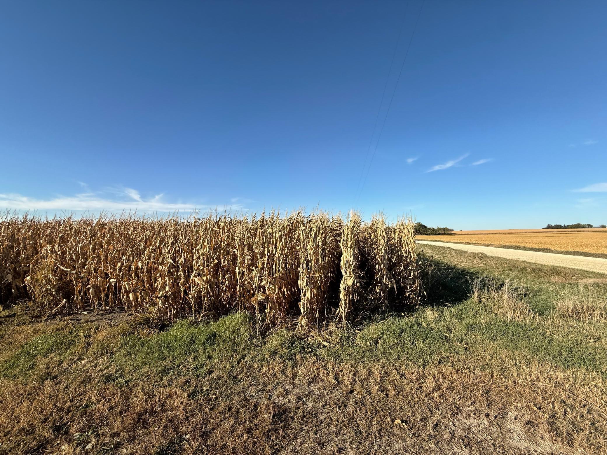 TBD County Road 149