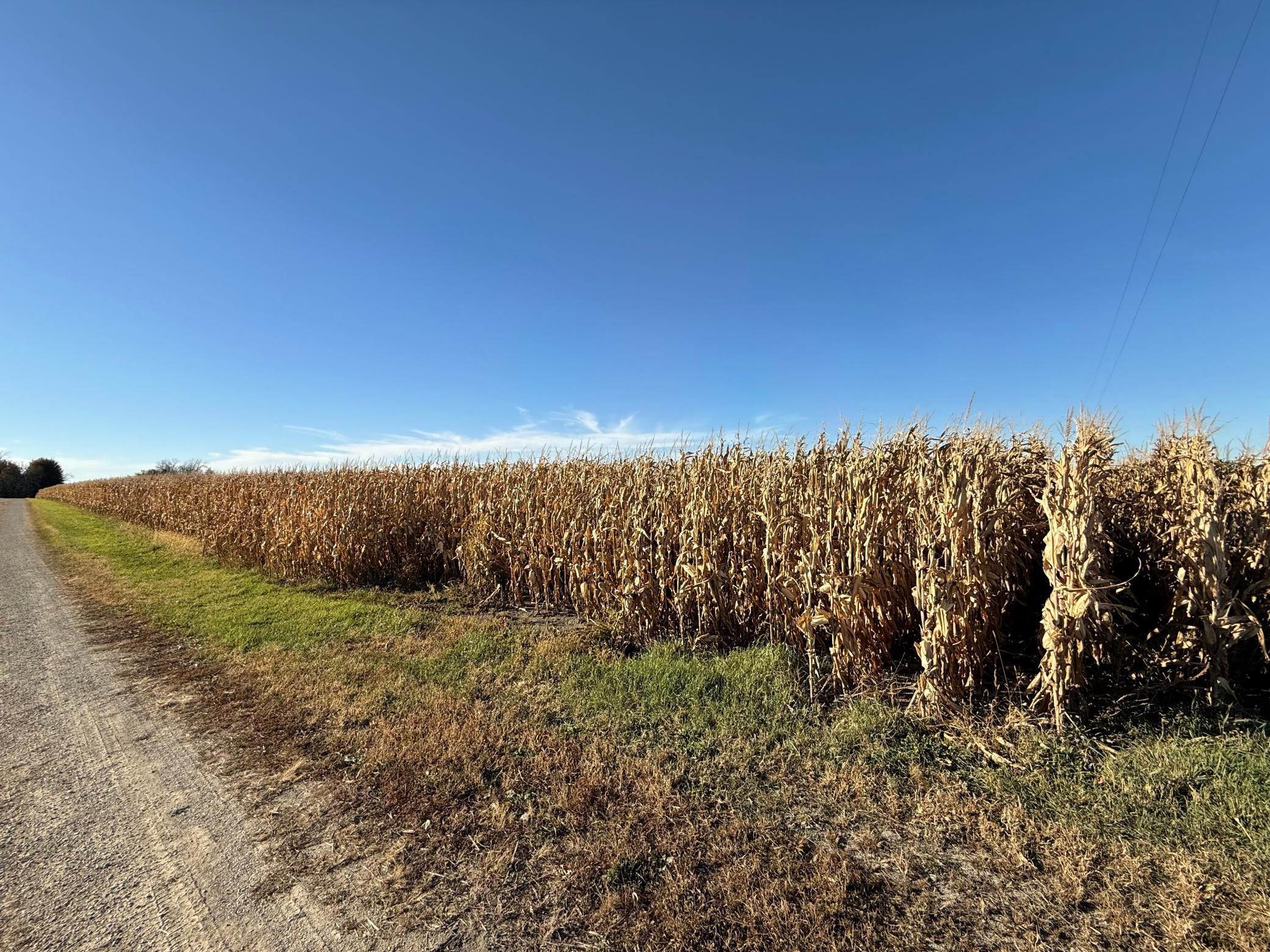 TBD County Road 149