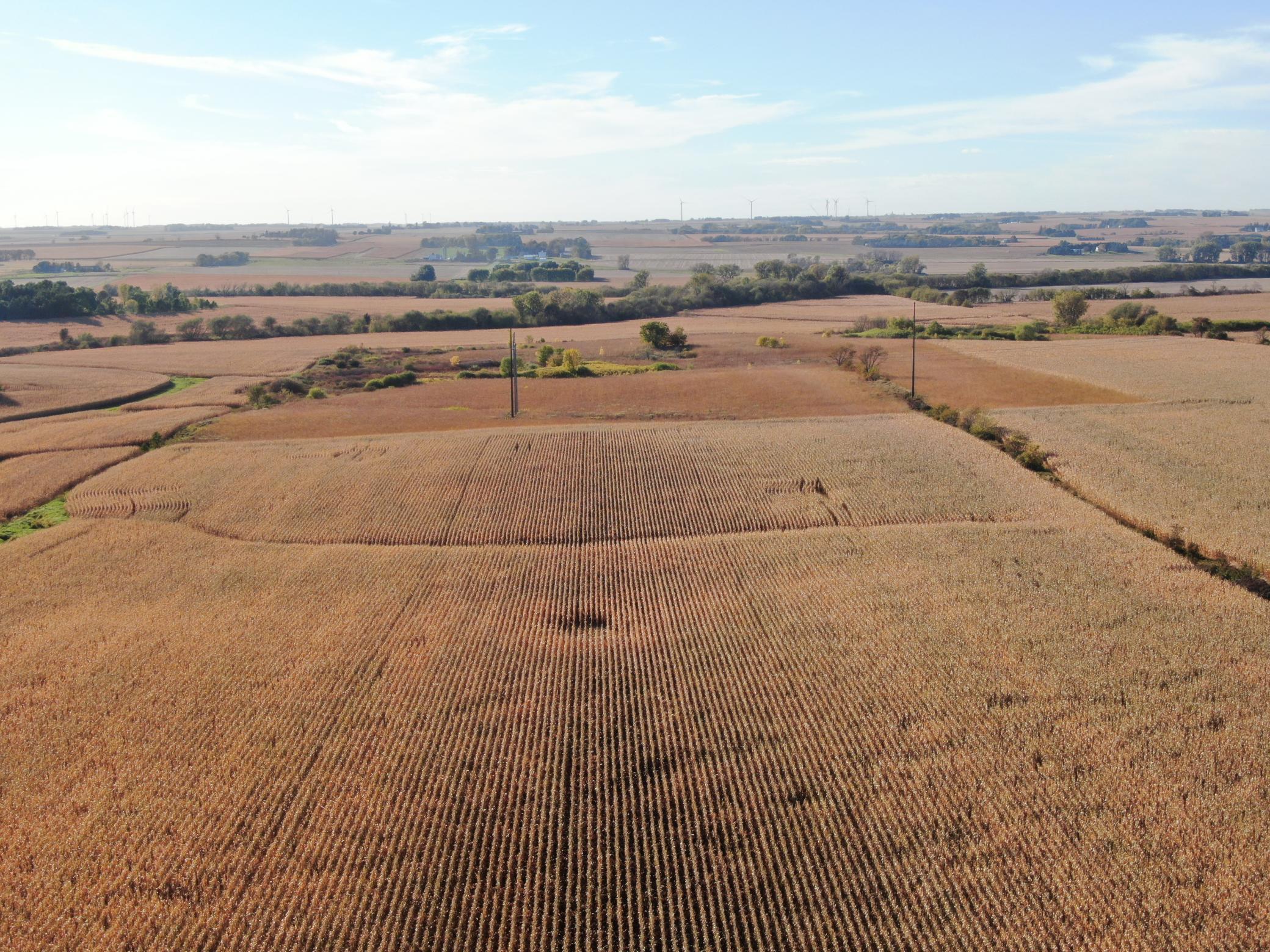 TBD County Road 149