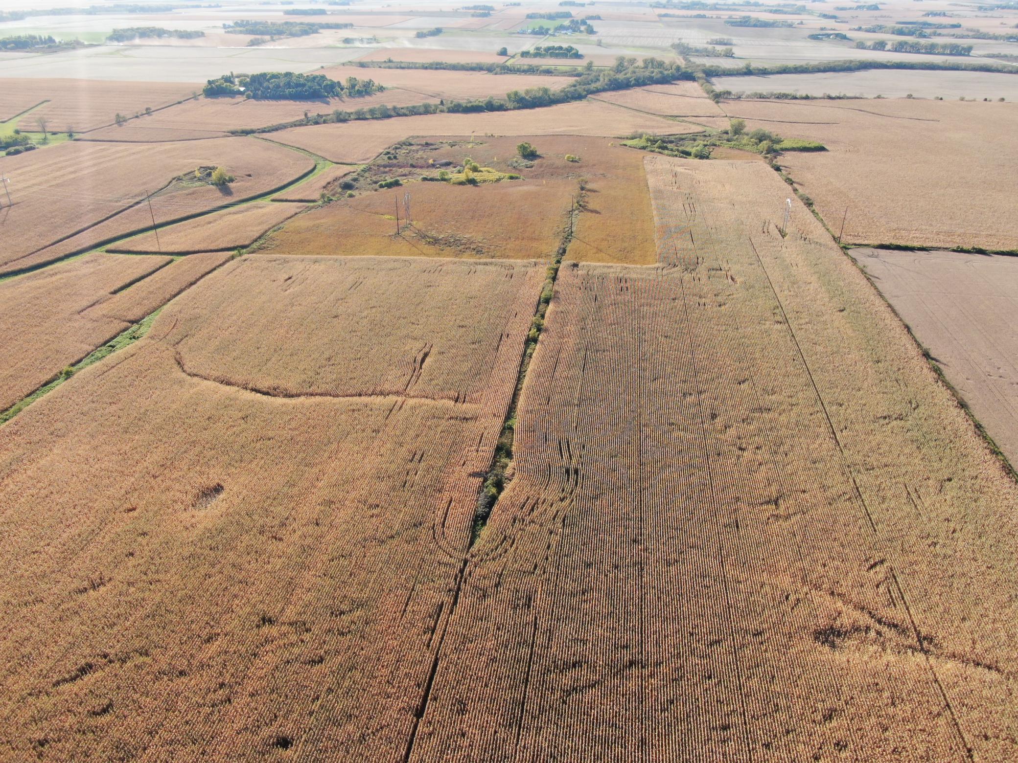 TBD County Road 149