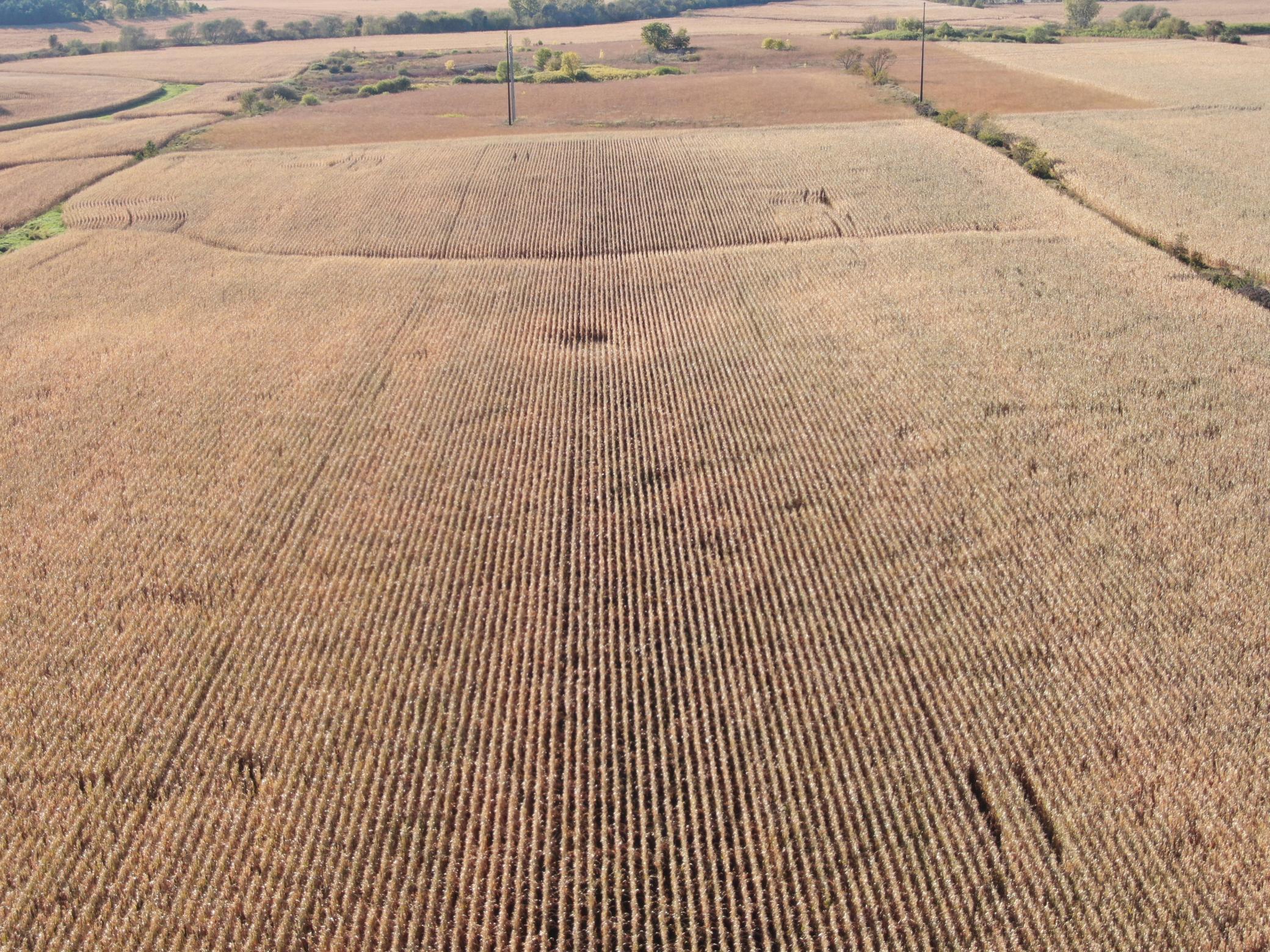 TBD County Road 149