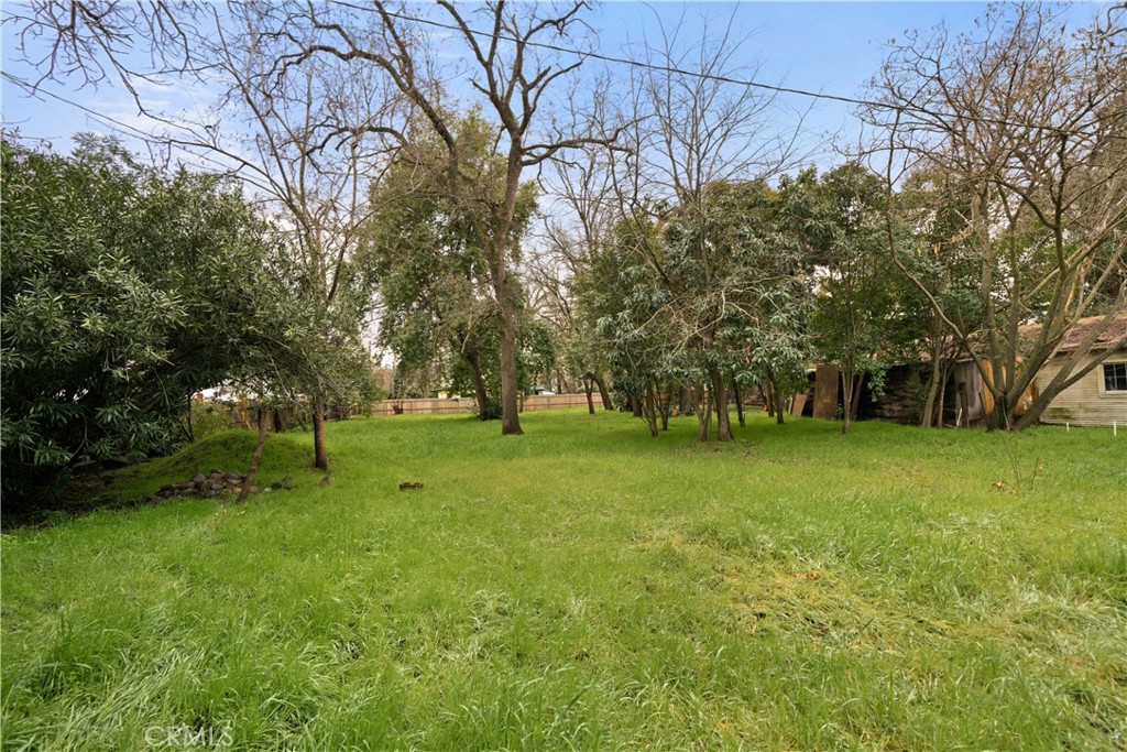 1530 Oleander Avenue