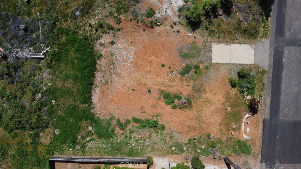 14002 Pineland Circle