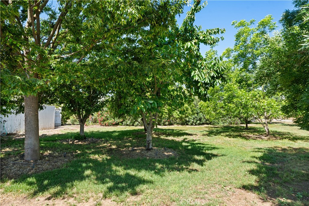 4190 County Road E
