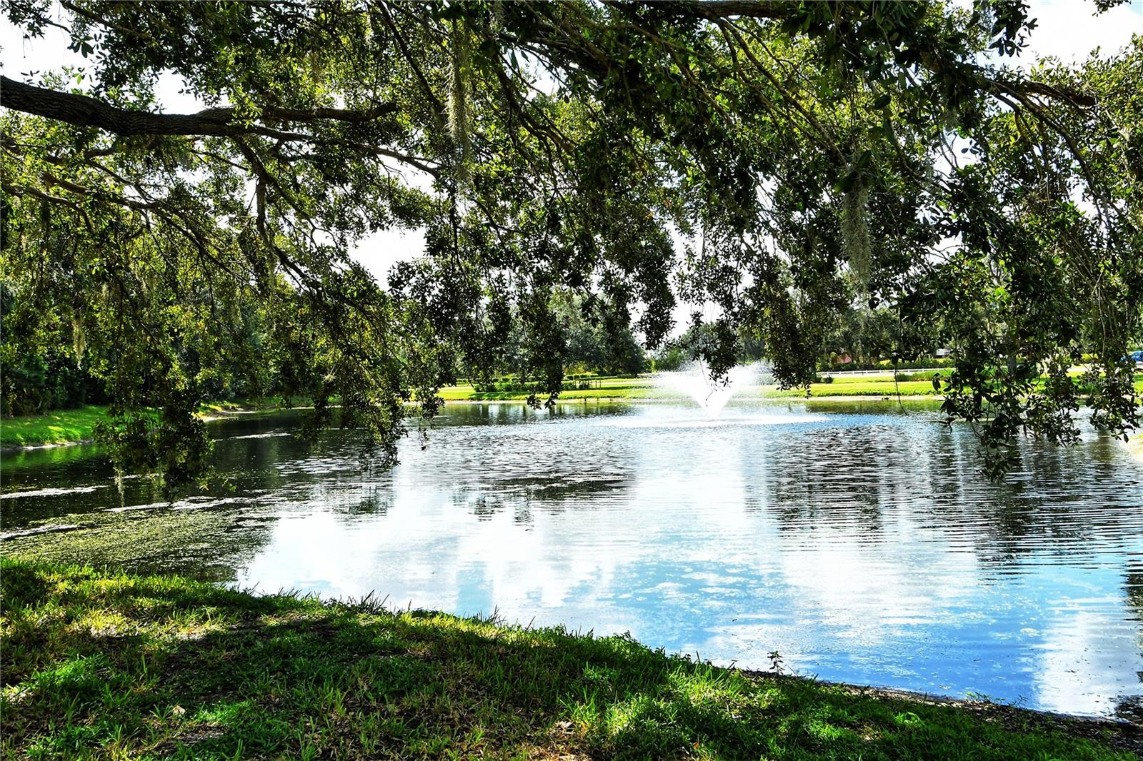 8429 MISTY MORNING CT